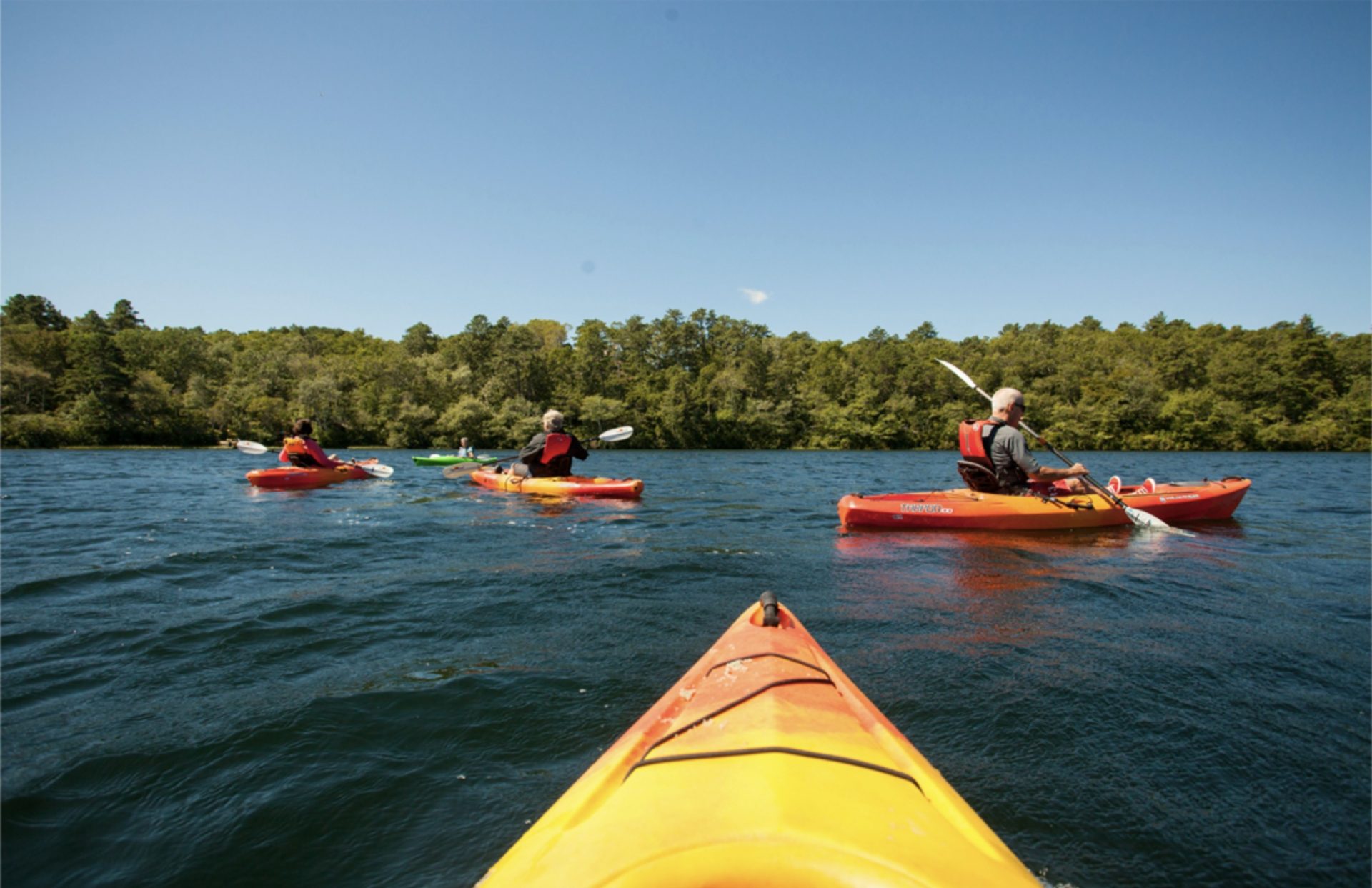 kayakers in orange kayaks on a lake with trees in the background
