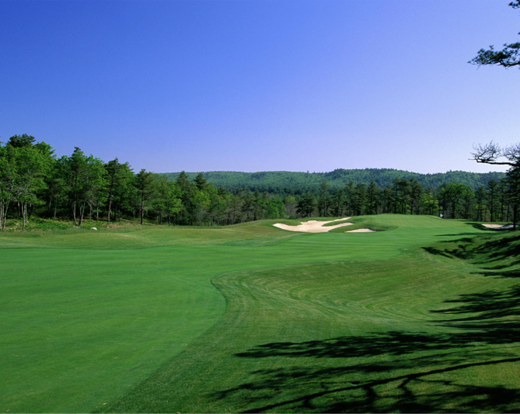 Green golf course surrounded by trees