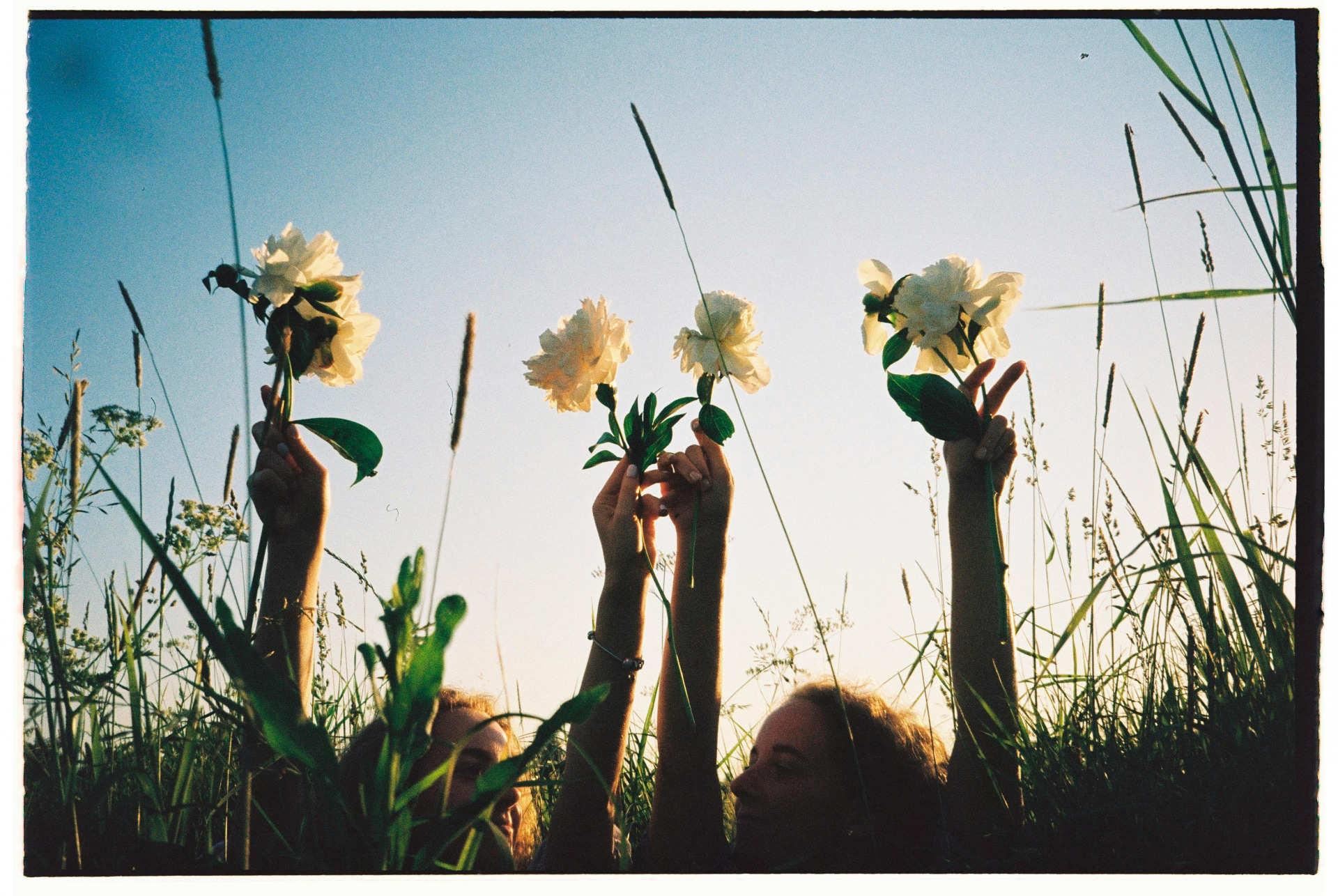 Embrace Spring at Rowen at The Pinehills in Plymouth, MA image