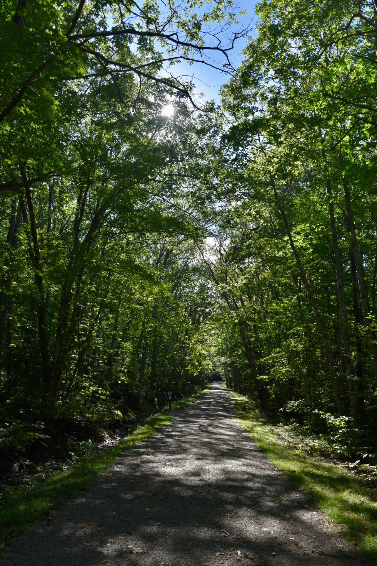 Spring Into the Outdoors: Seasonal Activities Near Rowen at The Pinehills image